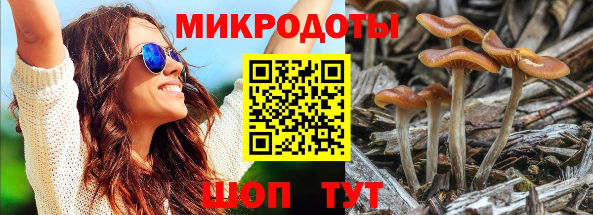 Псилоцибиновые грибы мицелий  Вход с VPN  Красноармейск  Псилоцибиновые грибы Psilocybe 