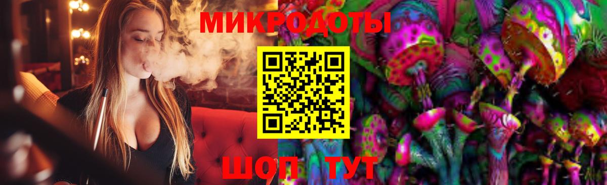 Галлюциногенные грибы Cubensis Красноармейск